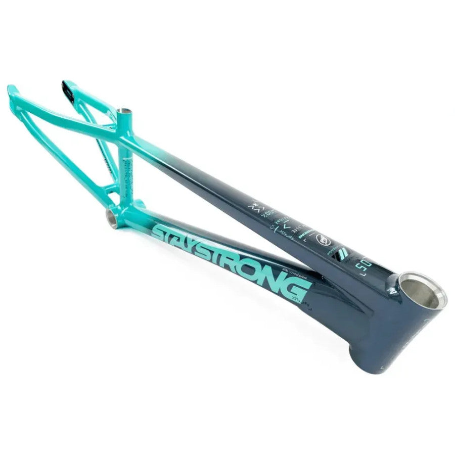Stay Strong V5 Disc Only BMX Race Frame 2024 - Charcoal/Mint