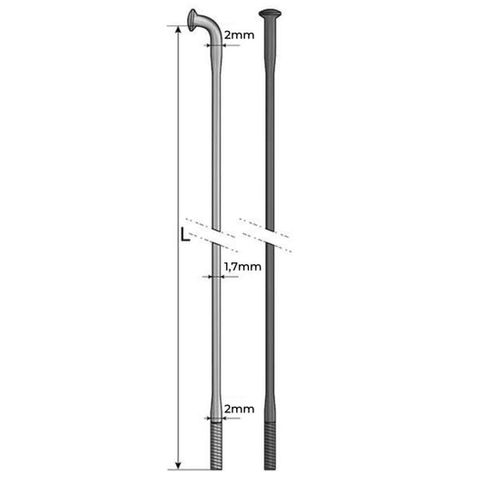 Pride Hexagon Spokes Double Butted (X10)