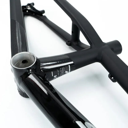 Stay Strong V5 Disc Only BMX Race Frame 2025 - Black/Black