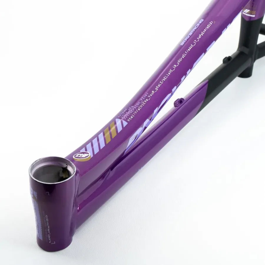 Stay Strong V5 Disc Only BMX Race Frame 2025 - Purple/Black