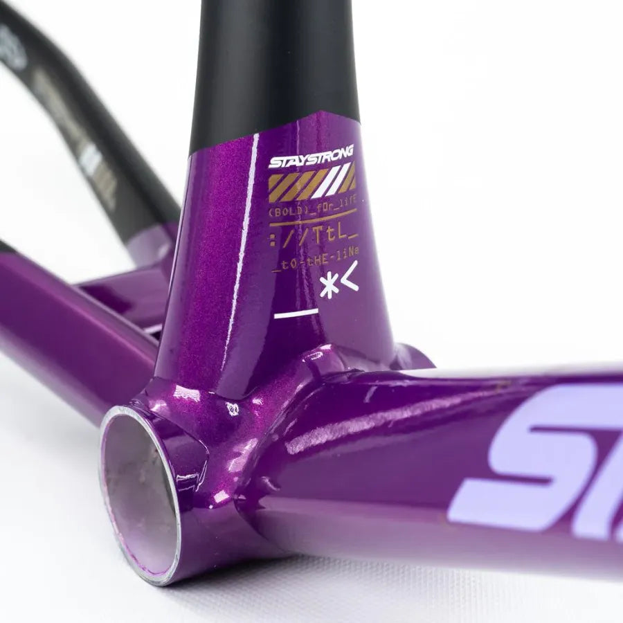 Stay Strong V5 Disc Only BMX Race Frame 2025 - Purple/Black