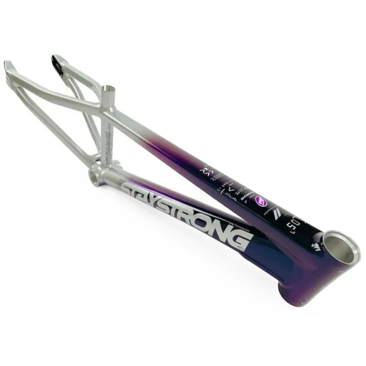 Stay Strong V5 Disc Only BMX Race Frame 2024 - Chameleon/Silver