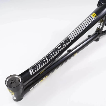 Stay Strong For Life V4 2023 Disc BMX Race Frame - Black