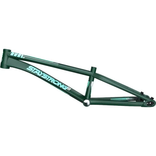 Stay Strong For Life V4 2023 Disc BMX Race Frame - Green