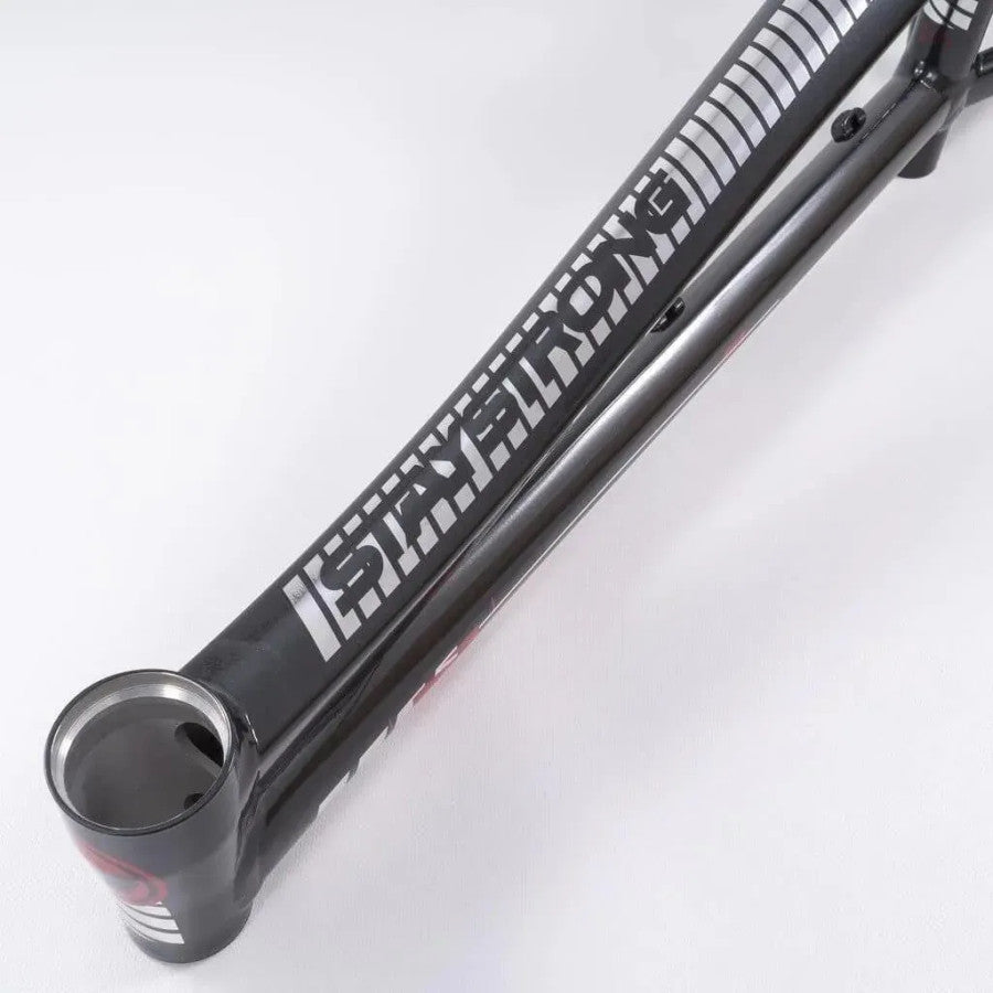 Stay Strong For Life V4 2023 Disc BMX Race Frame - Grey