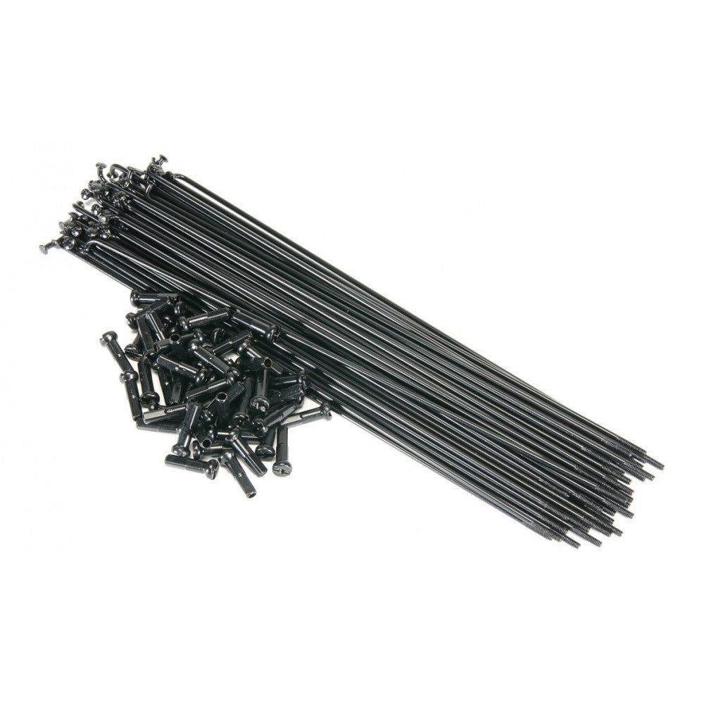 ECLAT PG SPOKES BLACK (x 50)