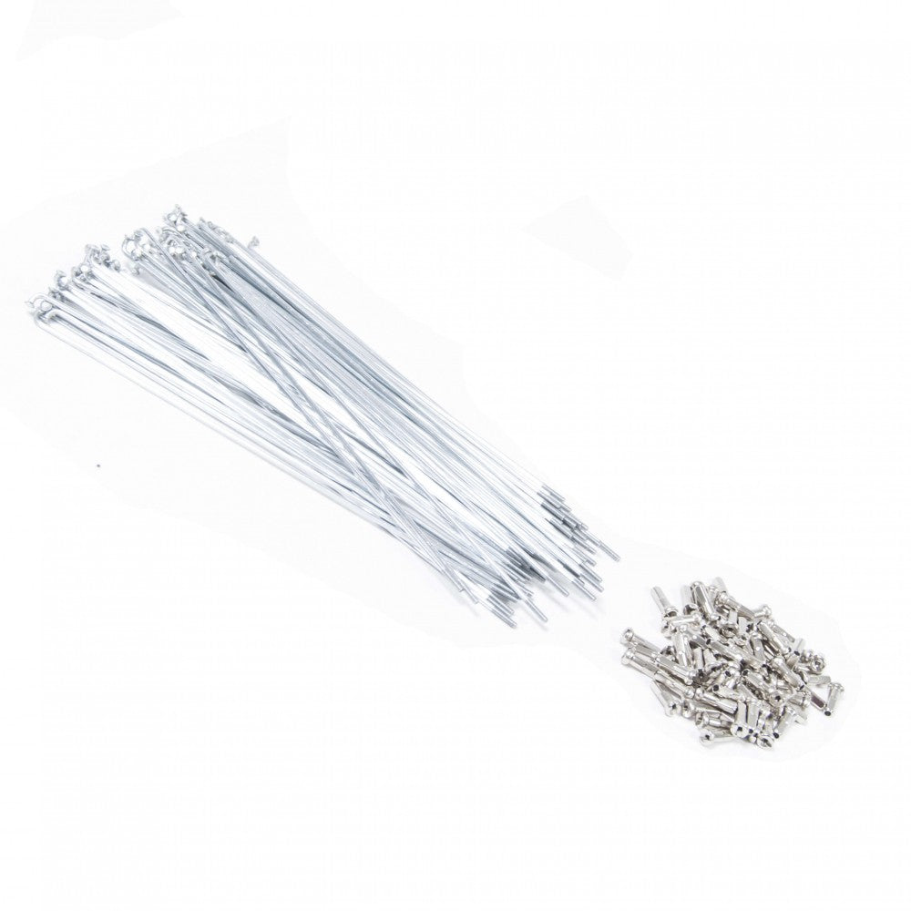 MACH1 SPOKES BLACK (x 100)