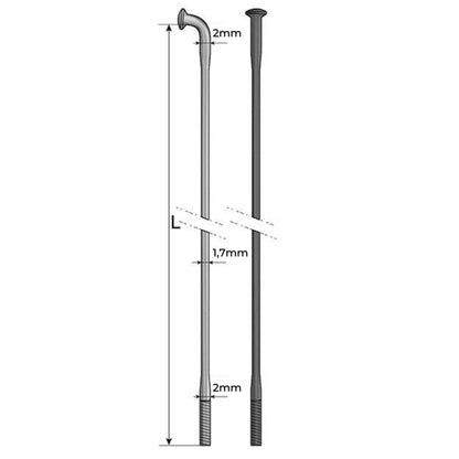 Pride Hexagon Spokes Double Butted (X10)
